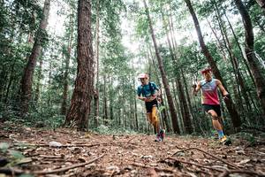 BIB: 
                            <button type="button" onclick="openModal(25261170)" class="btn btn-primary btn-sm float-right btn-popup" data-toggle="modal" data-target=".modal-high-quality">
                        <i class="fas fa-shopping-cart"></i> Add to Cart
                    </button>
                                            <button type="button" onclick="isThisMe(25261170, true)" class="btn btn-success btn-sm float-right btn-popup btn-isme hidden" data-toggle="tooltip" data-placement="bottom" title="นี่คือรูปของคุณใช่ไหม คลิกที่นี่เพื่อเอาเข้าอัลบั้ม">
                        <i class="fas fa-plus"></i> Add to album
                    </button>
                    <button type="button" onclick="isThisMe(25261170, false)" class="btn btn-warning btn-sm float-right btn-popup btn-isnotme hidden">
                        <i class="fas fa-ban"></i> Remove from album
                    </button>